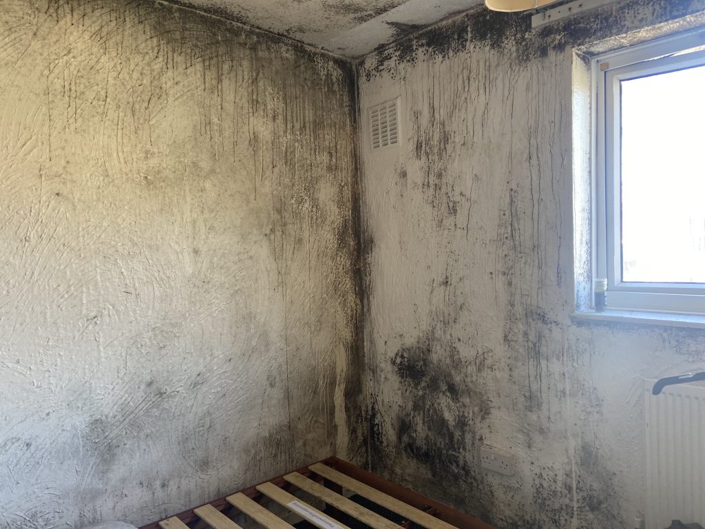 A mould covered wall and window