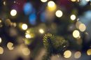 A blurred image of lights and fir trees