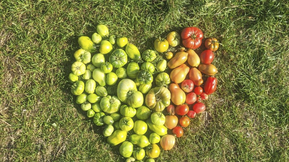 Multicoloured fruits and vegetables formed into a heart