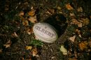a photo of a rugby ball