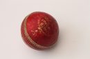 A cricket ball