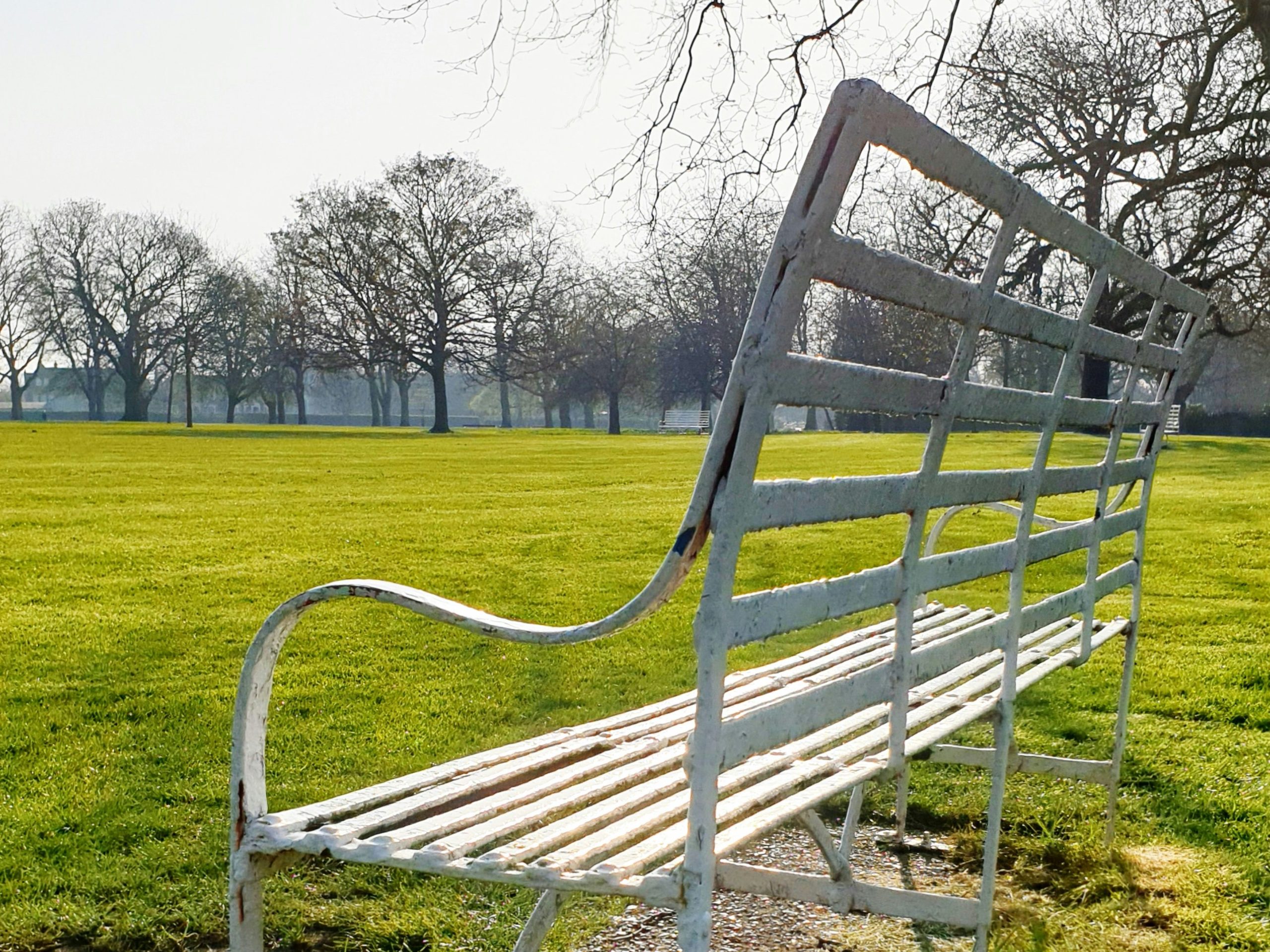 A bench in West Ham Park