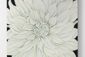 White Dahlia art
