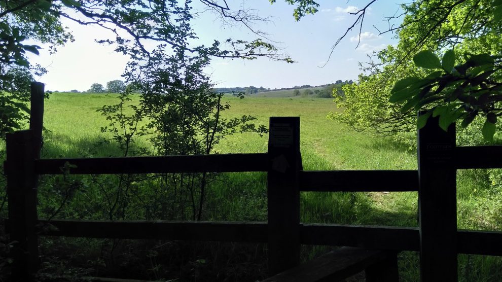 Green Belt land in Enfield