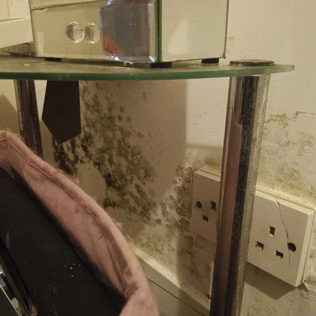 Mould at Shauni-Leigh's property